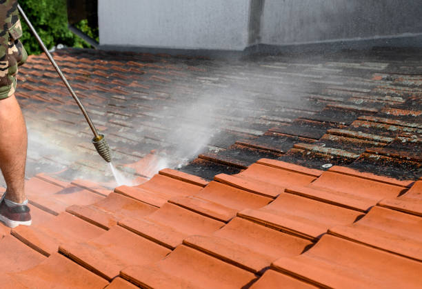 Best Roof Pressure Washing  in Pine Castle, FL