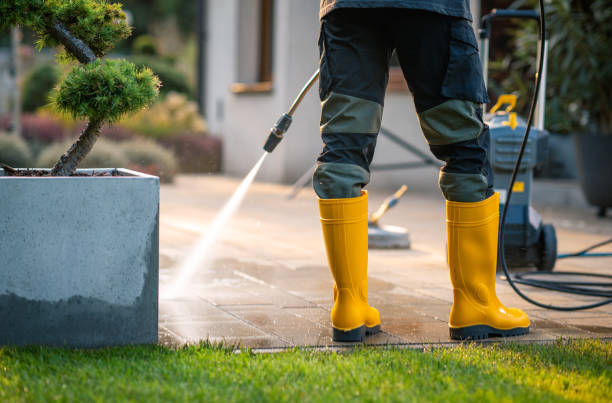 Best Residential Pressure Washing Services  in Pine Castle, FL